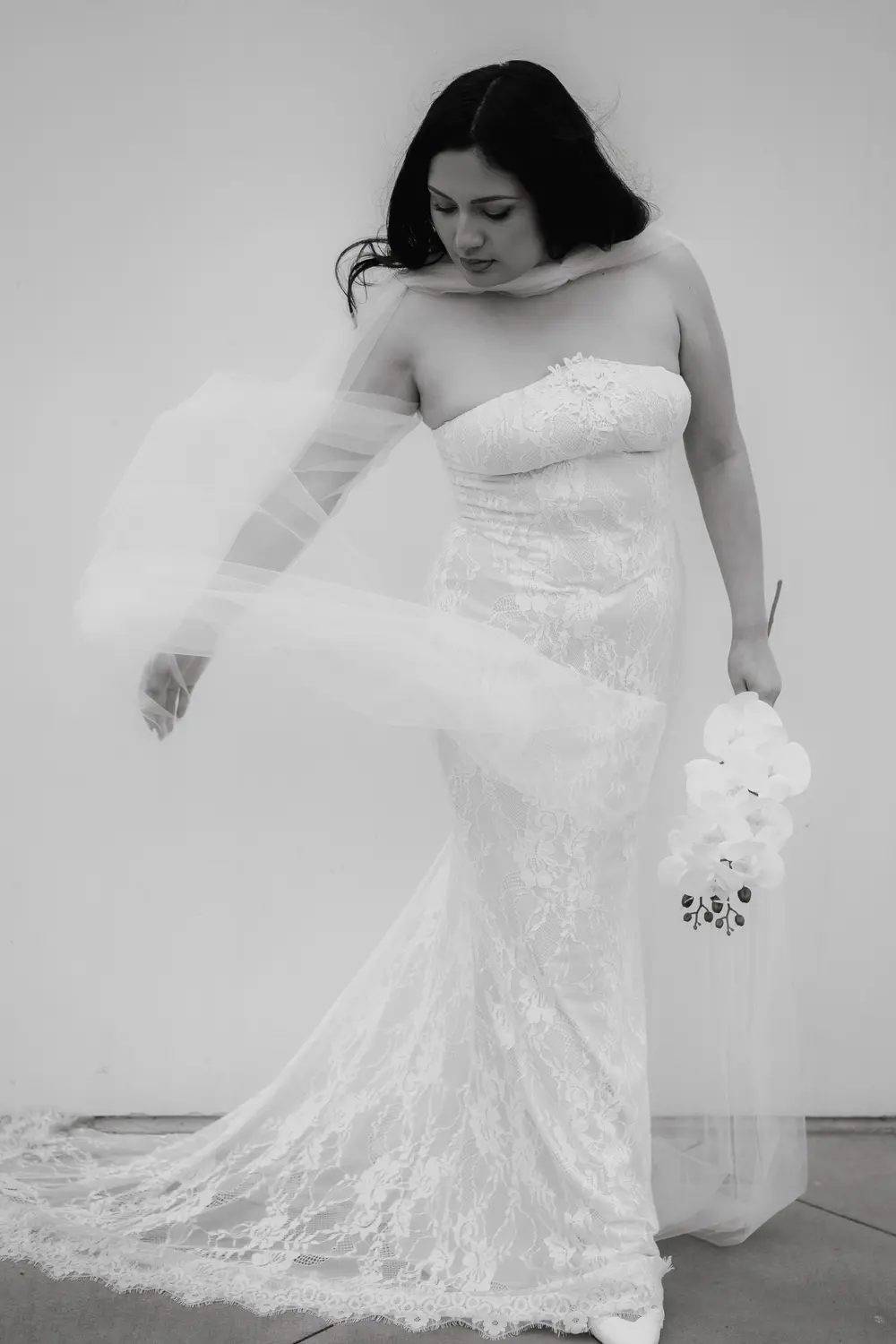 DSC04188-ezgif.com-resize